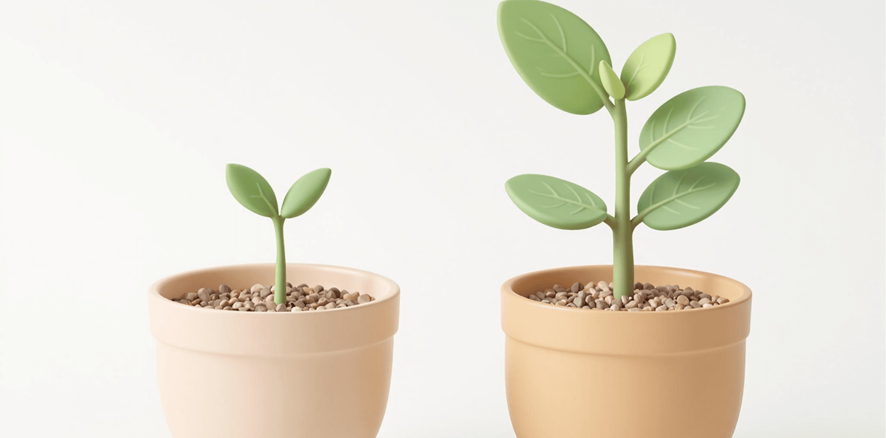 Minimalist Potted Plants to Show Consistency Results